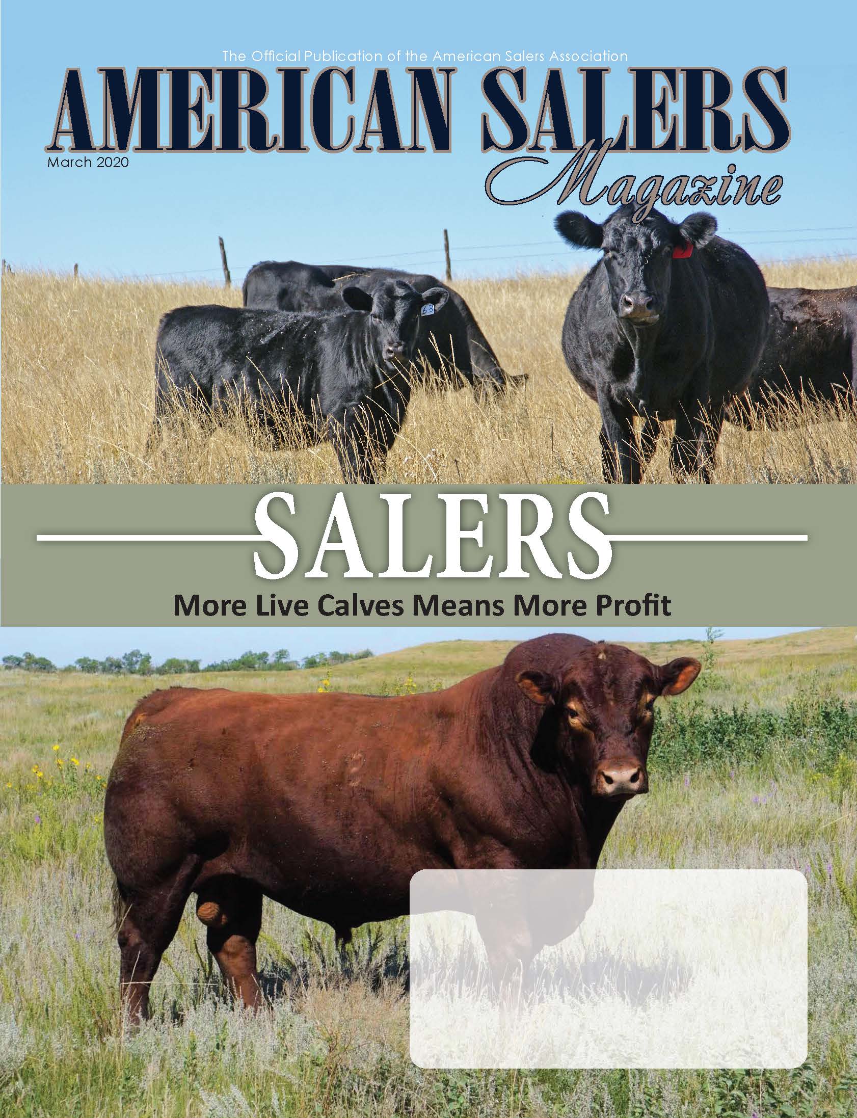 Salers Magazine March 2020